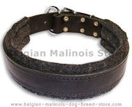 BUY 1.5 inch Leather Collar for Belgian Malinois