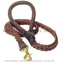 4 FT Braided Leather Dog Leashes for Belgian Malinois