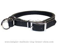 Adjustable Leather Slip Collar&Solid NICKEL h/w Belgian Malinois