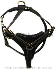 BELGIAN MALINOIS Dog Walking Harness H3
