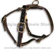BELGIAN MALINOIS Leather Dog Harness H7 for walking and tracking
