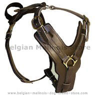 BELGIAN MALINOIS Padded Dog Harness H10