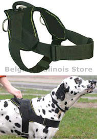 Best Dog Training Harness for BELGIAN MALINOIS-Working Harness