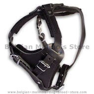 BELGIAN MALINOIS Control Dog Harness - H1