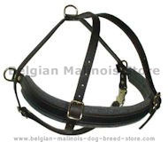 BELGIAN MALINOIS Dog Tracking Harness for walking, pulling, tra