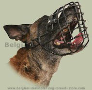 POLICE WIRE DOG MUZZLE for MALINOIS, CAGE MUZZLE - M10