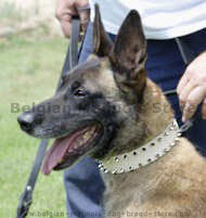 Leather Spiked Dog Collar-2 Rows of spikes(custom collar)