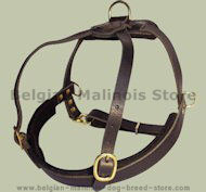 Padded Pulling Harness for Belgian Malinois-Leather Dog Harness