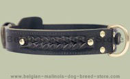 Center D-Ring Leather Collar for Belgian Malinois