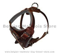 Comfort Padded Dog Harness for Belgian malinois