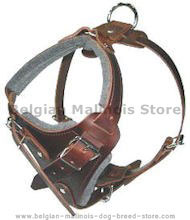 Dog Body Harness for Belgian malinois-BEST Leather Dog Harness