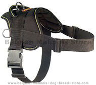 Dog Hiking Harness for Belgian malinois
