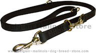 Dog Leash Training for Belgian Malinois-Training Lead
