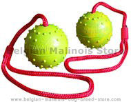 Training DOG BALL on a String-Dog Rubber Ball for Malinois