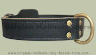 Double Layer Collar 1 3/4 inch for Belgian Malinois