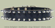 Double Row Spiked Collar for Belgian malinois