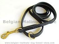 Flat Leather Leash 1/2 inch w/h solid brass for Belgian Malinois