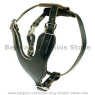 Heavy Duty Dog Harness for Belgian Malinois