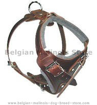 SIMILAR to Gappay Leather Defense Harness for Belgian Malinois