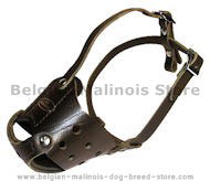Latigo Safety Muzzle for Belgian Malinois
