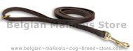 Looking for Leather Belt Leash 1/2 wide leash Belgian Malinois