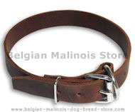 Leather Collar 1 inch wide for Belgian Malinois