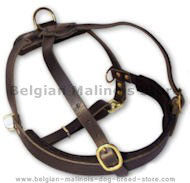 Leather Tracking Harness for Belgian Malinois -Pulling Harness