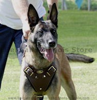 Agitation/training Leather Dog Harness- Malinois harness