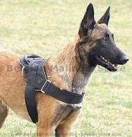 Nylon multi-purpose dog harness for tracking / pulling