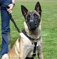 Luxury handcrafted leather dog harness made To Fit Malinois
