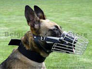 Basket wire dog muzzle perfect for Malinois-FULL PADDED MUZZLE