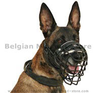 Malinois Wire Dog Muzzle -Malinois COVERED BY BLACK RUBER M10