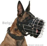 Belgian Malinois Full Padded Wire Dog Muzzle -Police Wire Muzzle