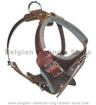 Medium dog Harness for Belgian Malinois -Leather Harness