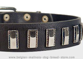 Ornament Dog Collar made of leather for Belgian Malinois