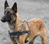 Fleece Padded Harness for Belgian Malinois-everyday dog harness
