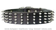 Protector Full Spiked 2 inch collar for Belgian Malinois