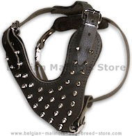 Found Spike Dog Harness Manufacturers
