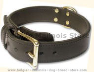 Tac-Black Leather Agitation Collars for Belgian Malinois trainin