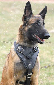Like Tru-Fit Dog harness-Smart Harness for Belgian Malinois