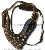 Two-Ply Latigo Dog Harness with Studs for Belgian Malinois