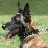 Leather collars