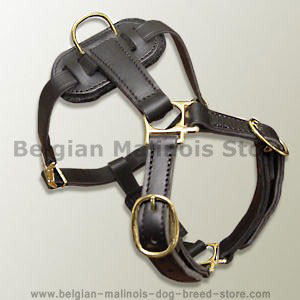 BELGIAN MALINOIS Leather Dog Harness H7 for walking and tracking