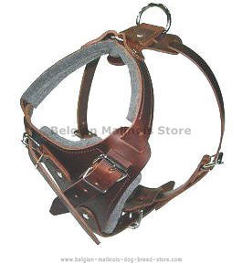 handmade leather dog harness