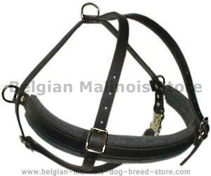 handmade leather dog harness