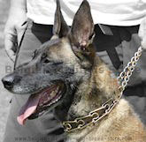 Malinois training dog collar,prong dog collar,pinch collar for Malinois