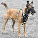 Belgian Malinois dog Harness