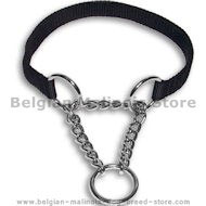 Martingale Collar with Chain Loop