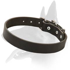 Safe Malinois Leather Dog Collar