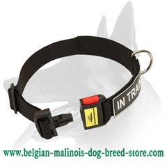 Excellent Belgian Malinois Nylon Dog Collar